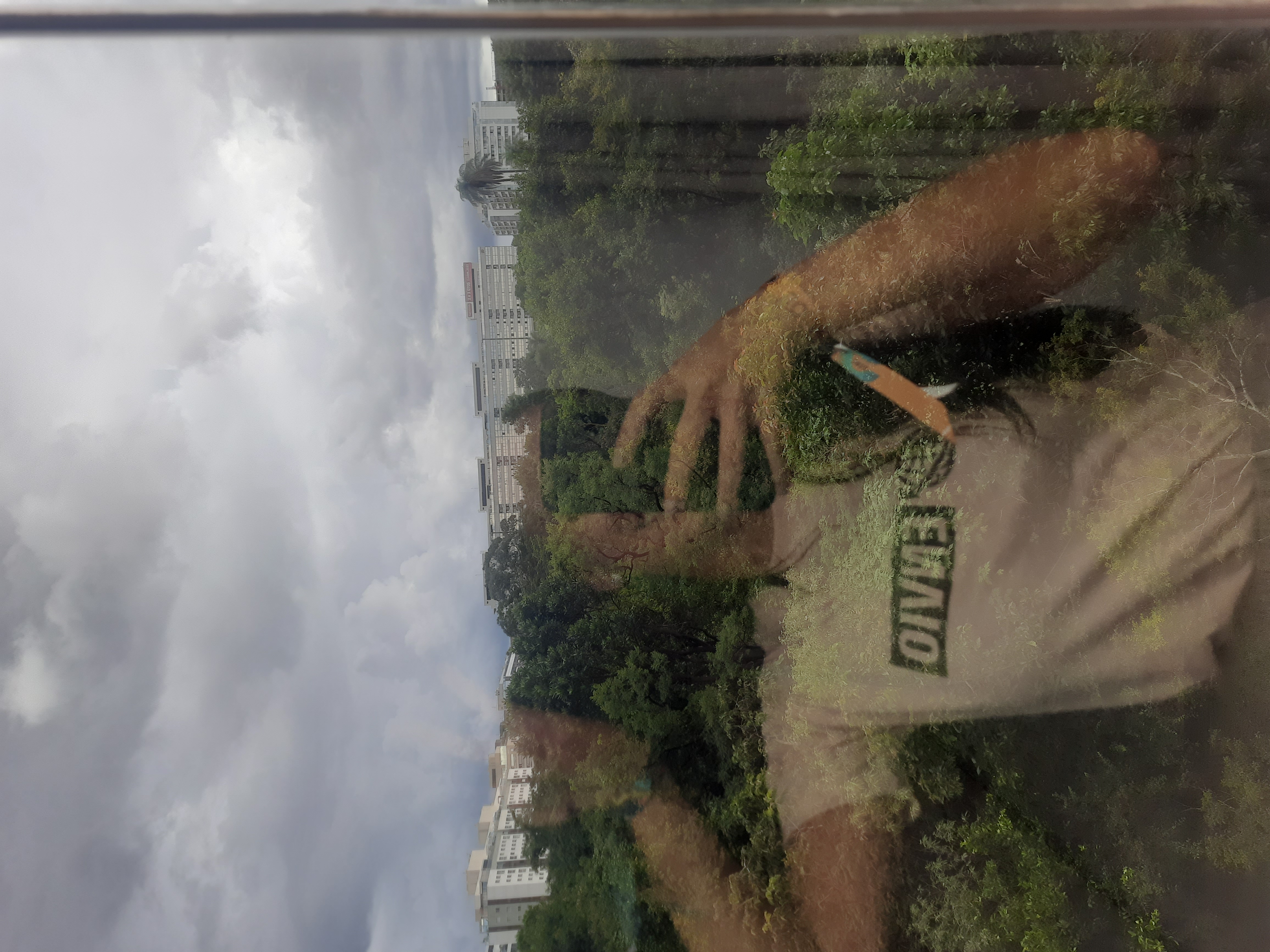 Foto 9 — Como foram minhas duas semanas em Brasília?