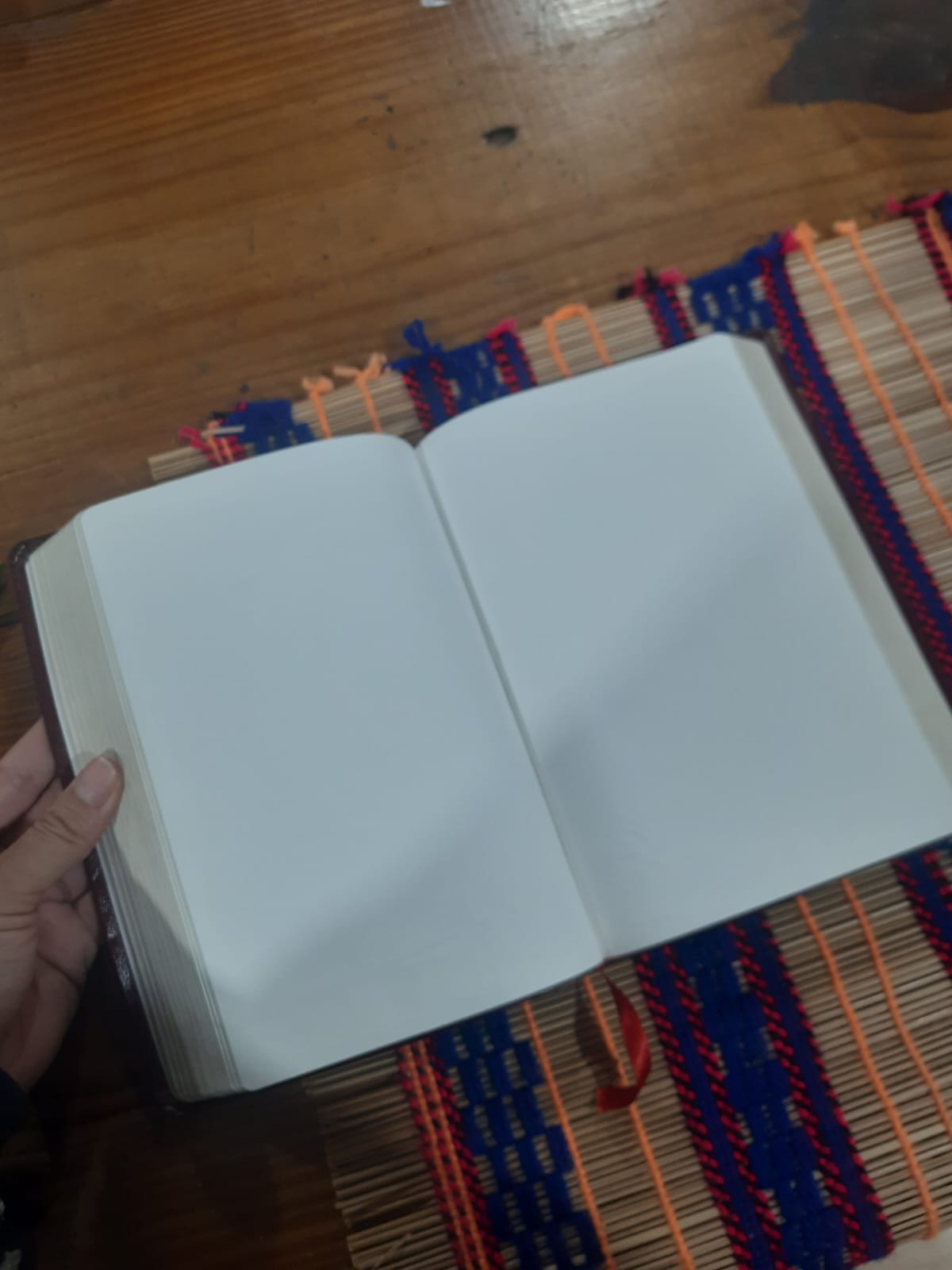 Foto 2 — Tradução Oral da bíblia para uma tribo Indígena 